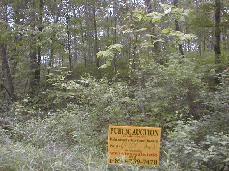 Item 432643
