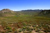 , LOVELOCK NV